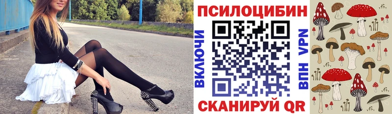 Псилоцибиновые грибы прущие грибы  KRAKEN ТОР  Муром 